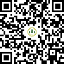 图片1.png 图片1.png